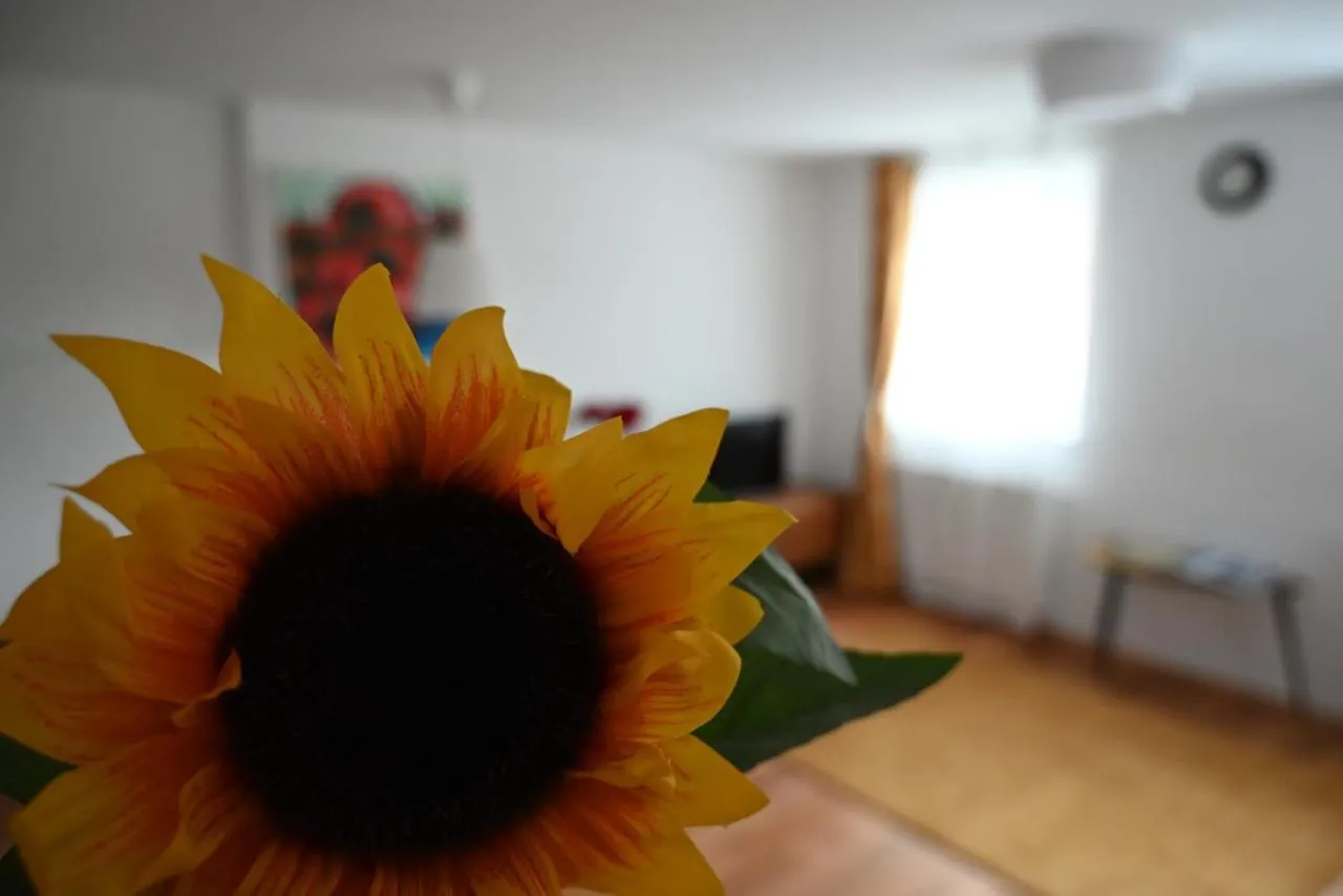 Krakovska Apartments Lublana Słowenia